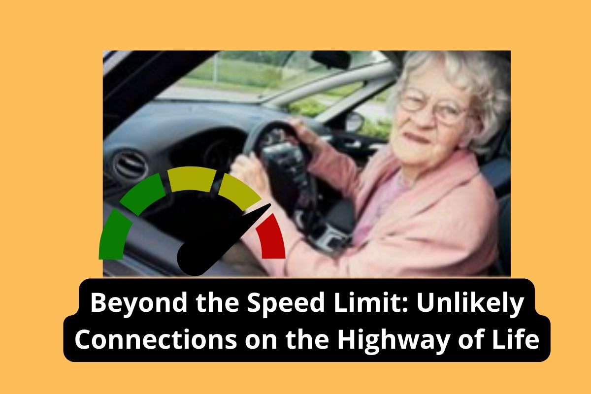 Beyond the Speed Limit: Unlikely Connections on the Highway of Life
