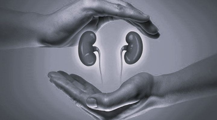 IF YOUR KIDNEY IS IN DANGER, The Body Will Give You These 7 Signs